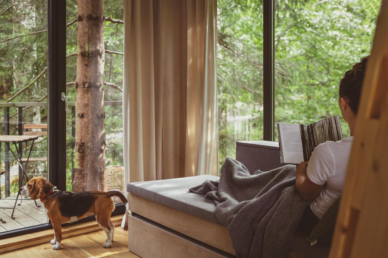 Treehouse * Karpacz
