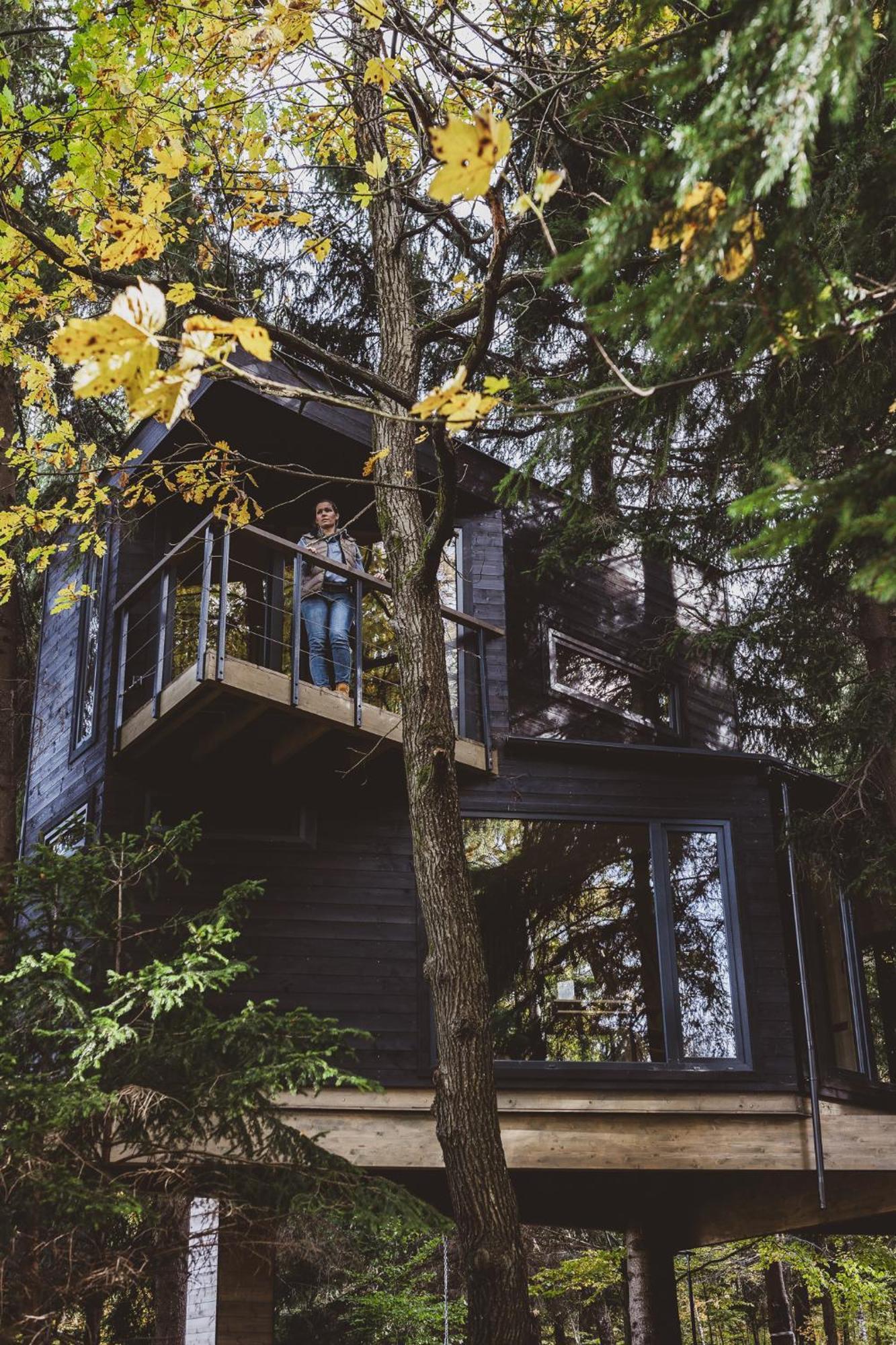 Holiday home Treehouse