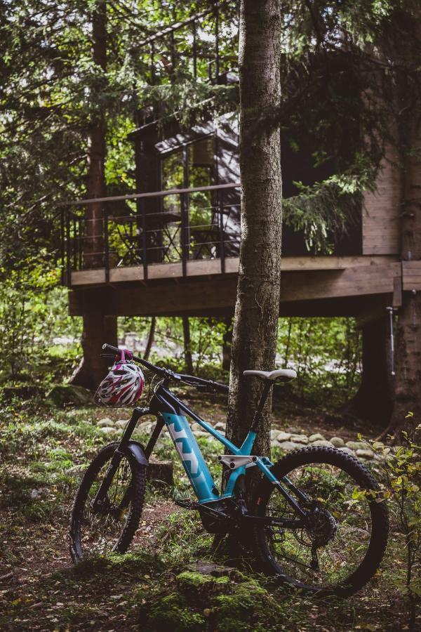 Casa vacanze Treehouse *